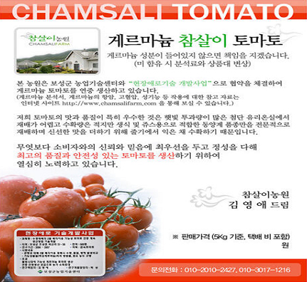 게르마늄 참살이 토마토