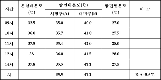 지하수 순환과 배지 내 온도