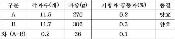 2열 재배 후 1열로 합치는 방법(A)과 정식부터 수확까지 1열 재배 비교시험(B)