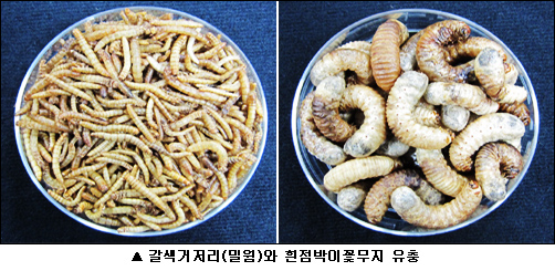 이미지 대체 내용을 작성합니다.