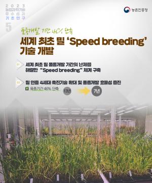 세계 최초 밀 'speed breeding' 기술 개발