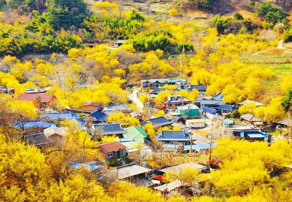 이미지 대체 내용을 작성합니다.