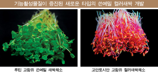 이미지 대체 내용을 작성합니다.