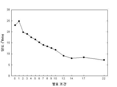 발효기간에 따른 당도 변화