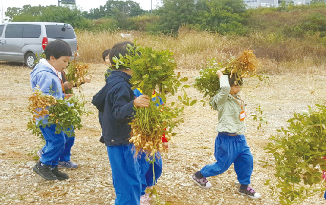 농산물 수확체험 중인 아이들