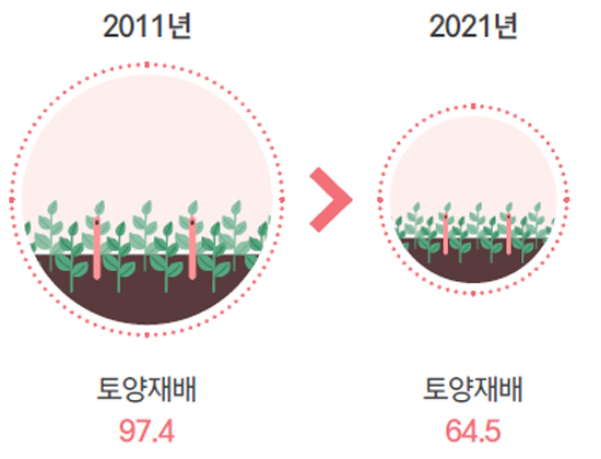 2011년 토양재배 97.4 2021년 토양재배 64.5