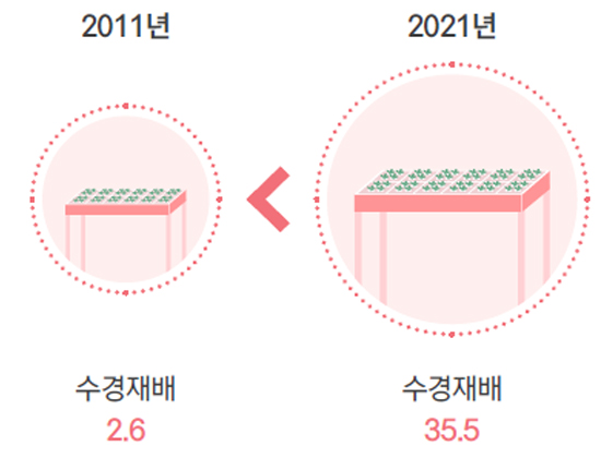 2011년 수경재배 2.6 2021년 수경재배 35.5