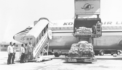1975. ‌필리핀에서 증식한 통일벼 종자 공수(김포공항)