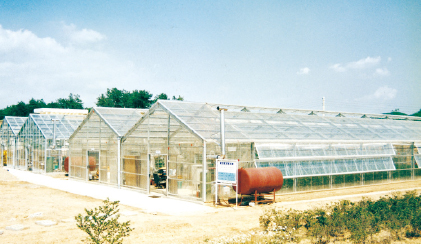 1993. PET 온실 재배