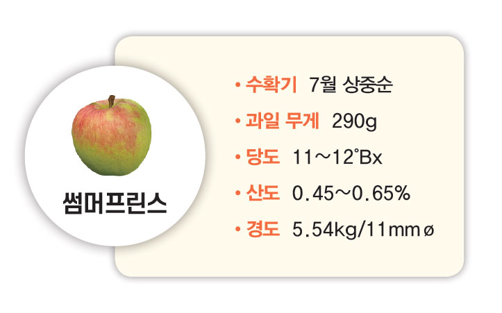 썸머프린스 수확기 7월 상중순 과일 무게 290g 당도 11~12°Bx 산도 0.45~0.65% 경도 5.54kg/11mmø