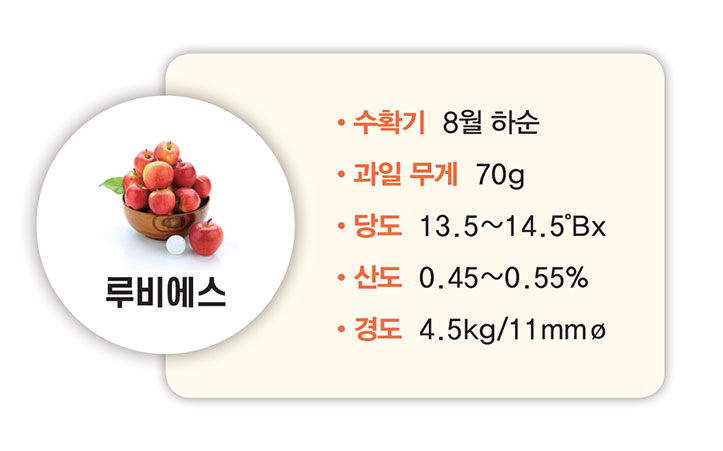 루비에스 수확기 8월 하순 과일 무게 70g 당도 13.5~14.5°Bx 산도 0.45~0.55% 경도 4.5kg/11mmø