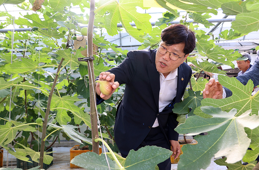 조재호 농촌진흥청장은 18일, 전남 가루쌀 생산단지, 국립식량과학원 바이오에너지작물연구소, 국립원예특작과학원 파속채소연구소 및 전라남도농업기술원 과수연구소를 차례로 방문했다4