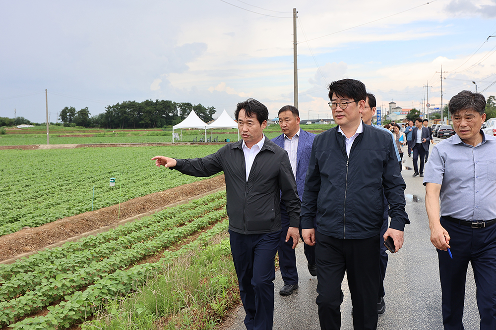 무굴착 땅속 배수 기술 시범지구