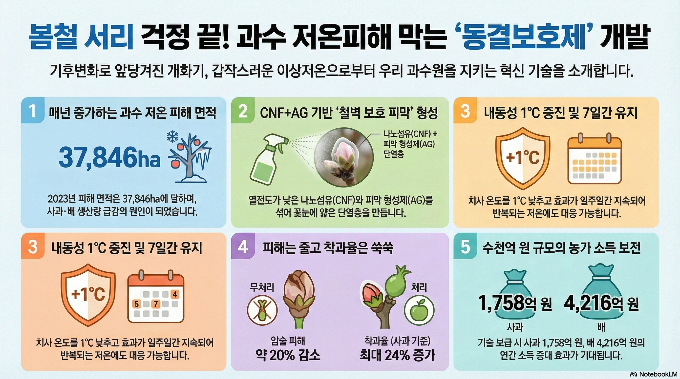 봄철 서리 걱정 끝! 과수 저온피해 막는 ‘동결보호제’ 개발 기후변화로 앞당겨진 개화기, 갑작스러운 이상저온으로부터 우리 과수원을 지키는 혁신 기술을 소개합니다. 1. 매년 증가하는 과수 저온 피해 면적 - 피해 면적: 37,846ha - 2023년 피해 면적은 37,846ha에 달하며, 사과·배 생산량 급감의 원인이 되었습니다. 2. CNF+AG 기반 ‘철벽 보호 피막’ 형성 - 열전도가 낮은 나노섬유(CNF)와 피막 형성제(AG)를 섞어 꽃눈에 얇은 단열층을 만듭니다. (나노섬유(CNF) + 피막 형성제(AG) 단열층) 3. 내동성 1°C 증진 및 7일간 유지 - 치사 온도를 1°C 낮추고 효과가 일주일간 지속되어 반복되는 저온에도 대응 가능합니다. 4. 피해는 줄고 착과율은 쑥쑥 - 무처리: 암술 피해 약 20% 감소 - 처리: 착과율 (사과 기준) 최대 24% 증가 5. 수천억 원 규모의 농가 소득 보전 - 사과: 1,758억 원 - 배: 4,216억 원 - 기술 보급 시 사과 1,758억 원, 배 4,216억 원의 연간 소득 증대 효과가 기대됩니다.