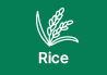 Agricultural Extension