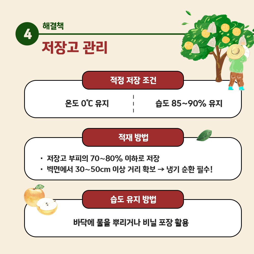 해결책 4) 저장고 관리 [적정 저장 조건 - 온도 0°C 유지, 습도 85~90% 유지], [적재 방법 - 저장고 부피의 70~80% 이하로 저장, 벽면에서 30~50cm 이상 거리 확보 → 냉기 순환 필수!], [습도 유지방법 - 바닥에 물을 뿌리거나 비닐 포장 활용]