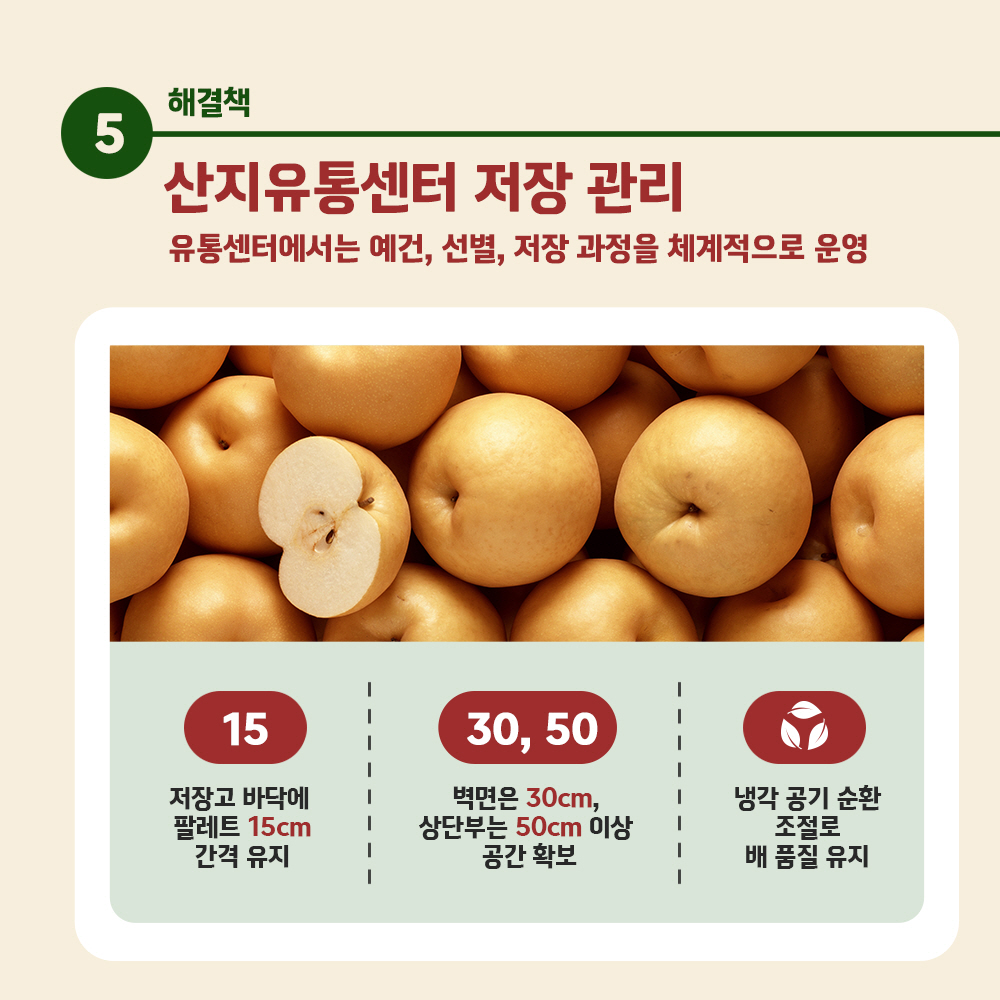 해결책 5) 산지유통센터 저장 관리 - 유통센터에서는 예건, 선별, 저장 과정을 체계적으로 운영, [ 15 - 저장고 바닥에 팔레트 15cm 간격 유지], [ 30, 50 - 벽면은 30cm, 상단부는 50cm 이상 공간 확보], [ 냉각 공기 순환 조절로 배 품질유지]