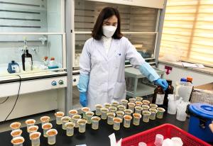 전남농기원, 벼 깨씨무늬병 토양검정으로 재발 막는다