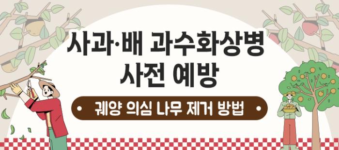사과·배 과수화상병 사전 예방 궤양 의심나무 제거 방법
