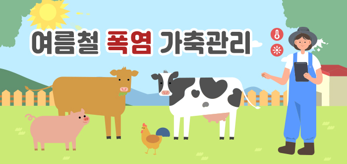 여름철 폭염 가축관리