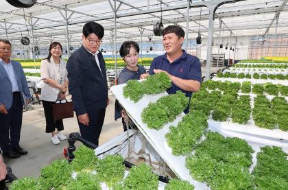 여름철 시설채소류 현장점검