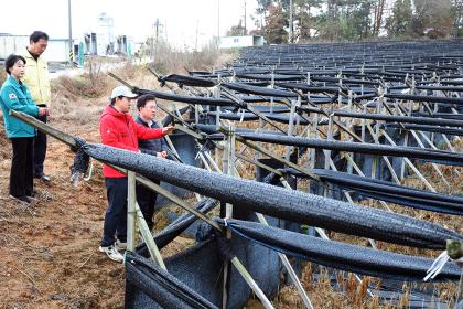겨울철 기상재해 대응 상황 점검