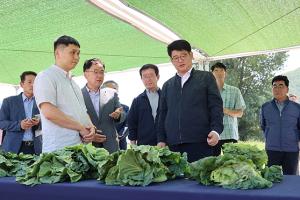 여름배추 수급 안정 연구 현장 점검