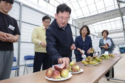 스마트팜 청년 창업농 안정 정착 방안 모색
