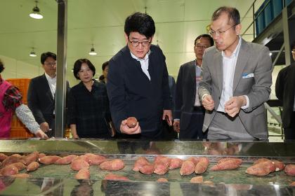 고구마 재배ㆍ유통ㆍ수출 현장 점검