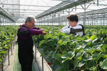 농작업 안전 사업 추진 현황 점검