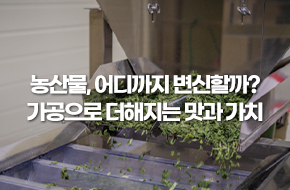 농산물, 어디까지 변신할까? 가공으로 더해지는 맛과 가치