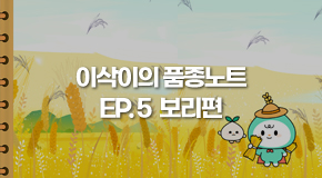 이삭이의 품종노트 EP.5 보리편