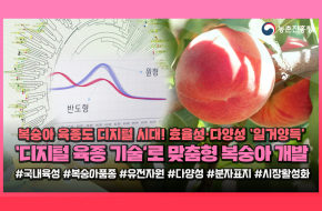 🍑복숭아 인생스포하는 기술⁉️'실존' [※스포주의]