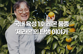 국내 육성 1호 레몬 품종 제라몬의 탄생 이야기