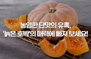 농염한 단맛의 유혹, '늙은 호박'의 매력에 빠져 보세요!