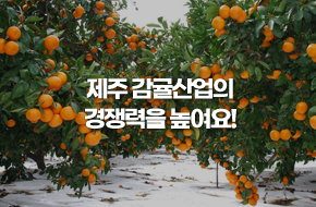 제주 감귤산업의 경쟁력을 높여요!