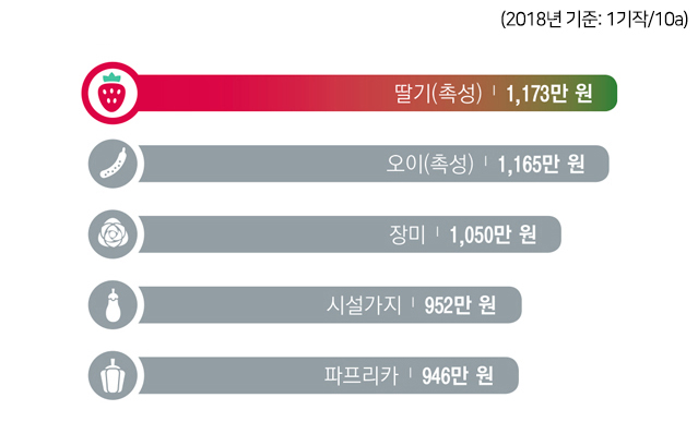 (2018년 기준: 1기작/10a) 딸기(촉성) 1,173만 원, 오이(촉성) 1,165만 원, 장미 1,050만 원, 시설가지 952만 원, 파프리카 946만 원