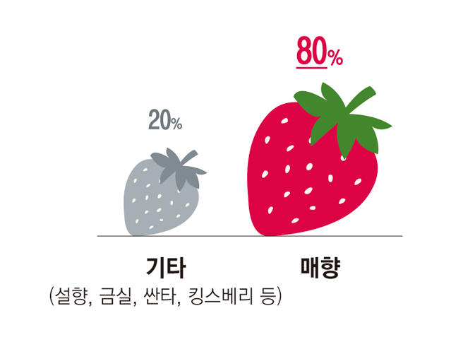 기타(설향, 금실, 싼타, 킹스베리 등) 20%, 매향 80%