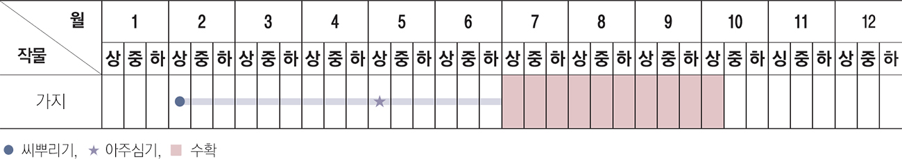 씨뿌리기는 2월 상반기에 하고, 아주심기는 5월 상반기에 하며, 수확은 7월~10월 상반기까지 가능하다.