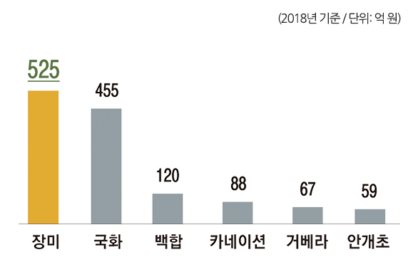 (2018년 기준/단위: 억 원)장미 525, 국화 455, 백합 120, 카네이션 88, 커베라 67, 안개초 59