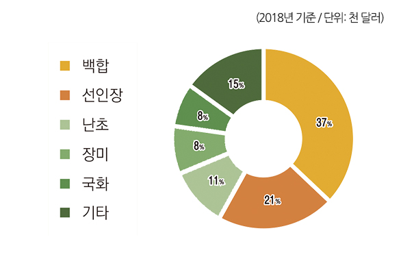 (2018년 기준/단위: 천 달러)백합 37%, 선인장 21%, 난초 11%, 장미 8%, 국화 8%, 기타 15%