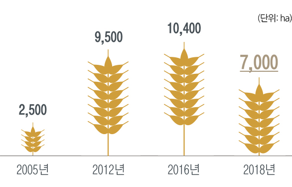 2005년에는 2,500ha, 2012년에는 9,500ha, 2016년에는 10,400ha, 2018년에는 7,000ha