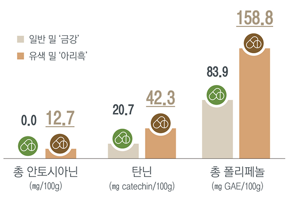 총 안토시아닌의 일반밀'금강'은 0.0mg, 유색밀 '아리흑'은 12.7mg, 탄닌의 '금강'은 20.7mg catechin, '아리흑'은 42.3mg catechin, 총 폴리페놀의 '금강'은 83.9mg GAE, '아리흑'은 158.8mg GAE