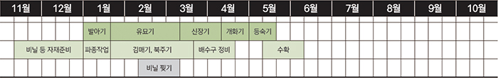 완두의 생육적온은 10∼20℃이며, 우리나라에서는 재배의 전 기간을 이 적온기에 맞추어 생육하는 것은 불가능하다. 그래서 비교적 영향이 적은 유식물기를 저온에서 보내고 개화부터 결협기가 적온기에 들도록 파종기를 조절해야 한다. 파종 시기는 남부지방의 경우 2월에 파종하고 중부지방은 3월에 파종하면 적절하다.