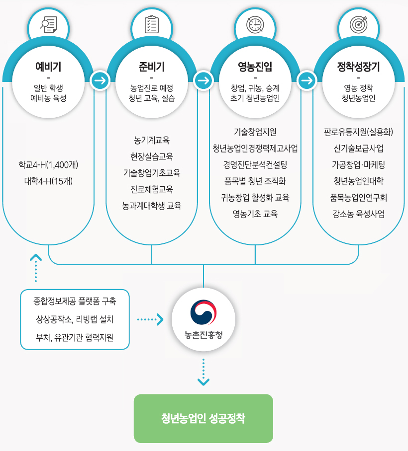 예비기(일반 학생 예비농 육성):학교4-H(1,400개), 대학4-H(15개) / 준비기(농업진로 예정 청년교육, 실습):농기계교육, 현장실습교육, 기술창업기초교육, 진로체험교육, 농과계대학생 교육 / 영농진입(창업, 귀농, 승계 초기 청년농업인):기술창업지원, 청년농업인경쟁력제고사업, 경영진단분석컨설팅, 품목별 청년 조직화, 귀농창업 활성화 교육, 영농기초 교육 / 정착성장기(영농 정착 청년농업인):판로유통지원(실용화), 신기술보급사업, 가공창업·마케팅, 청년농업인대학, 품목농업인연구회, 강소농 육성사업 / 종합정보제공 플랫폼 구축, 상상공작소, 리빙랩 설치, 부처, 유관기관 협력지원 /농촌진흥청 - 청년농업인성공정착