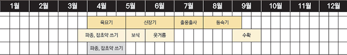 완두의 생육적온은 10∼20℃이며, 우리나라에서는 재배의 전 기간을 이 적온기에 맞추어 생육하는 것은 불가능하다. 그래서 비교적 영향이 적은 유식물기를 저온에서 보내고 개화부터 결협기가 적온기에 들도록 파종기를 조절해야 한다. 파종 시기는 남부지방의 경우 2월에 파종하고 중부지방은 3월에 파종하면 적절하다.