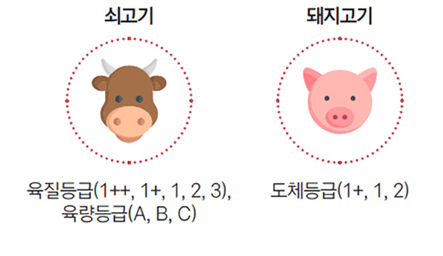 쇠고기 육질등급(1++, 1+, 1, 2, 3), 육량등급(A, B, C) 돼지고기 도체등급(1+, 1, 2) 