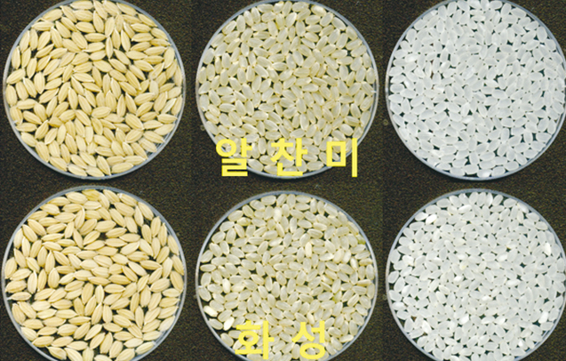 수요자와 함께 만든 최고 품질벼 ‘해들’, ‘알찬미’